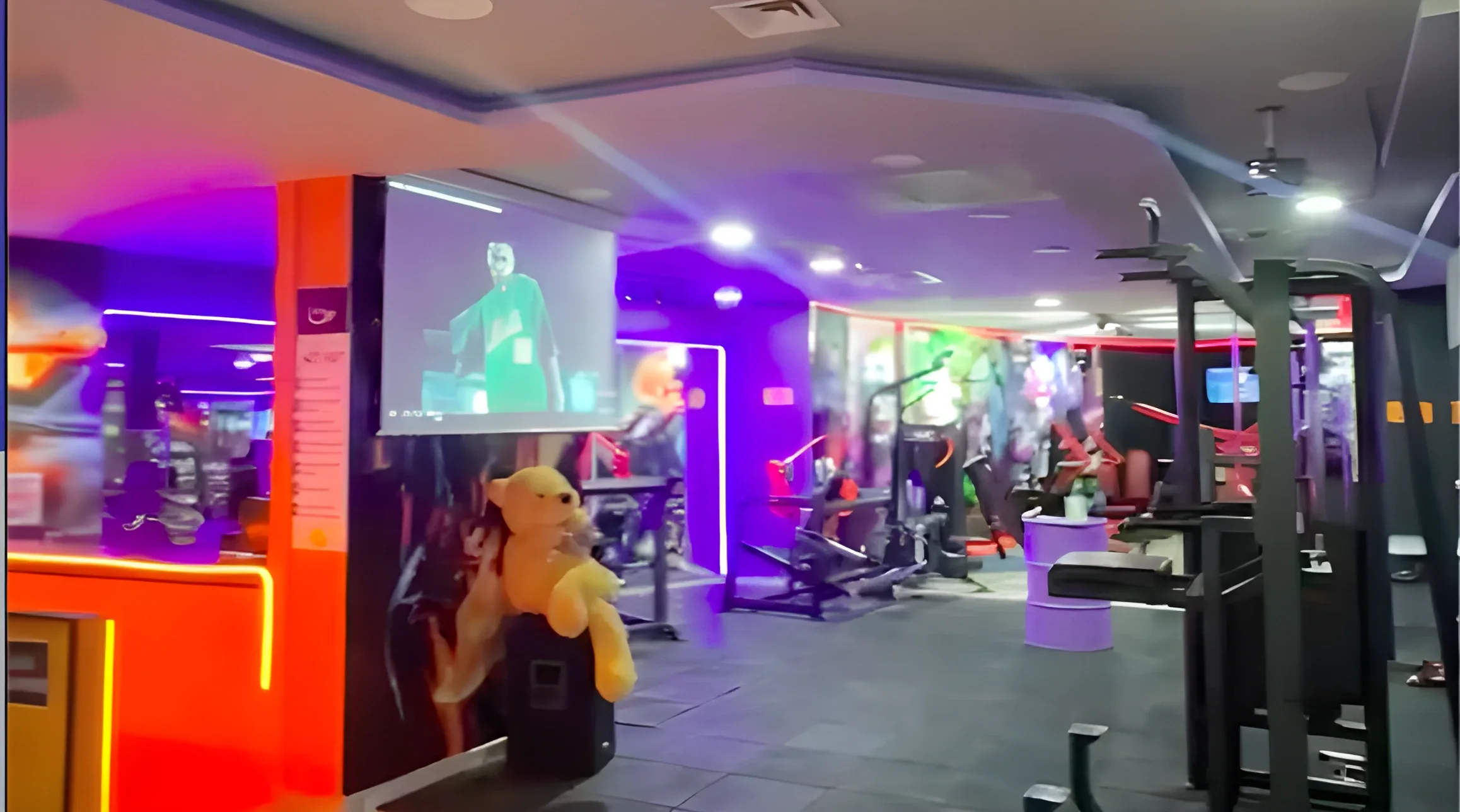 Talha Yasin Uğurlu spor salonunda sırt antrenmanında